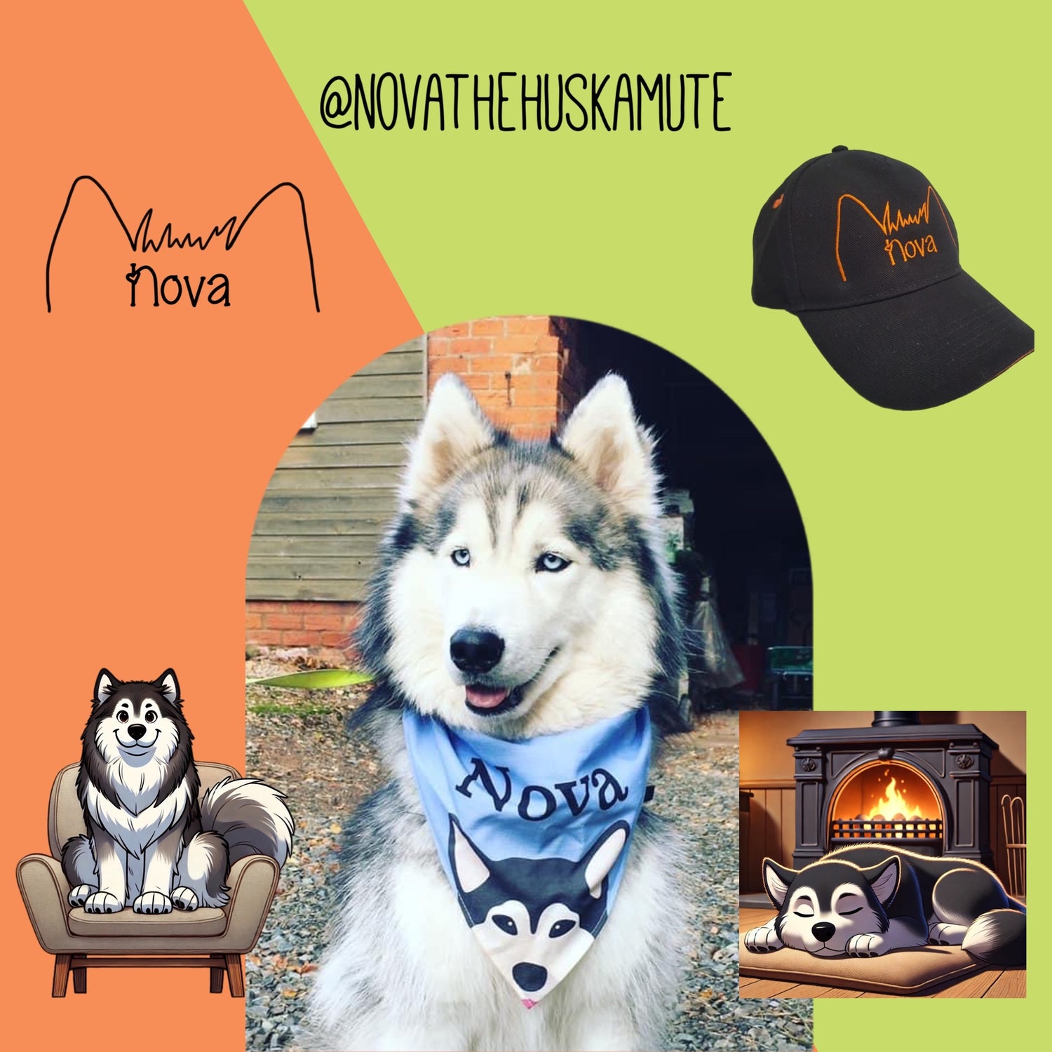 Nova The Huskamute